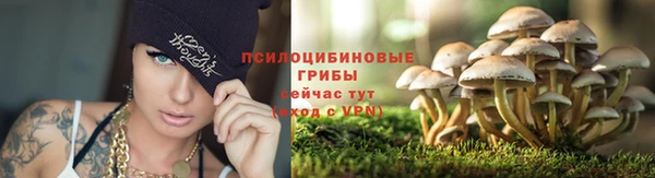 jwh Абаза