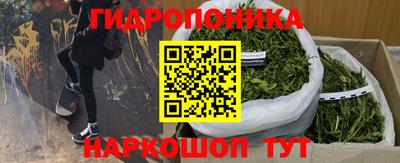 ALPHA PVP Кандалакша