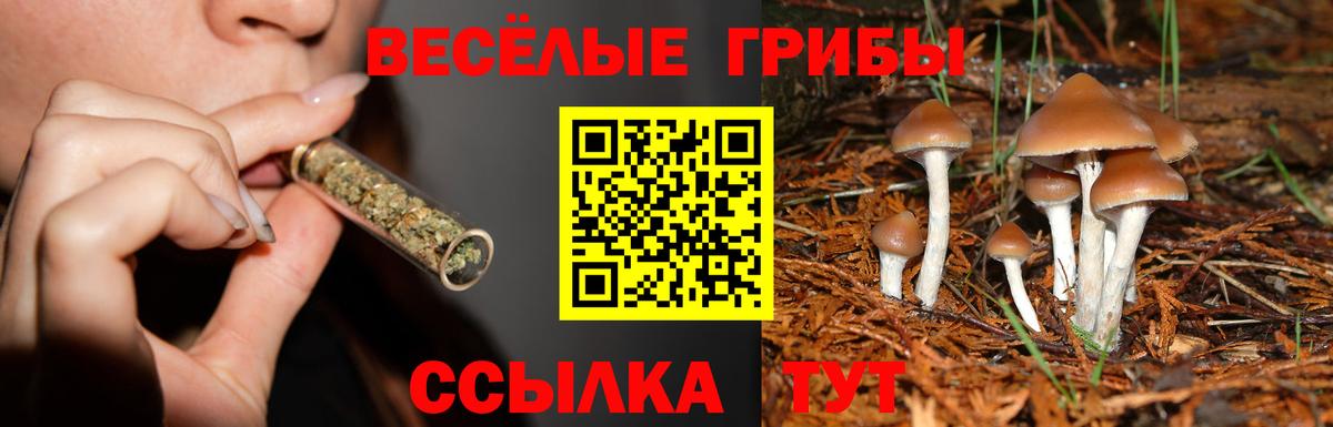 Галлюциногенные грибы Cubensis Омск