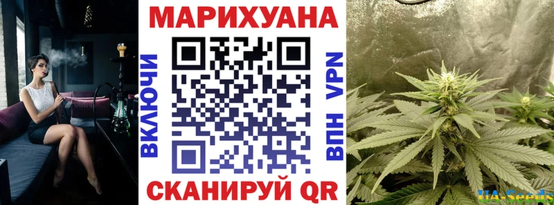 наркота  Омск  Каннабис план 